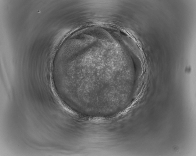 X0000089970097200707271930