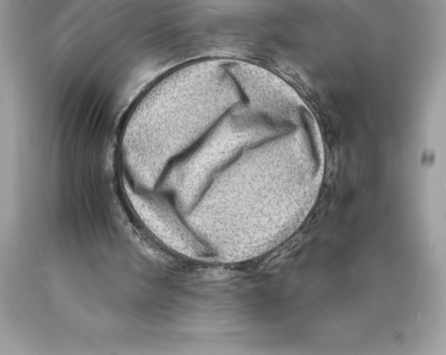 X0000089970098200707271930