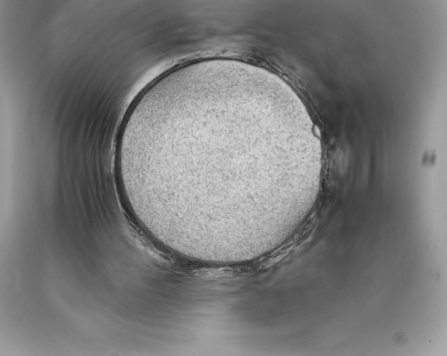 X0000089970100200707271930