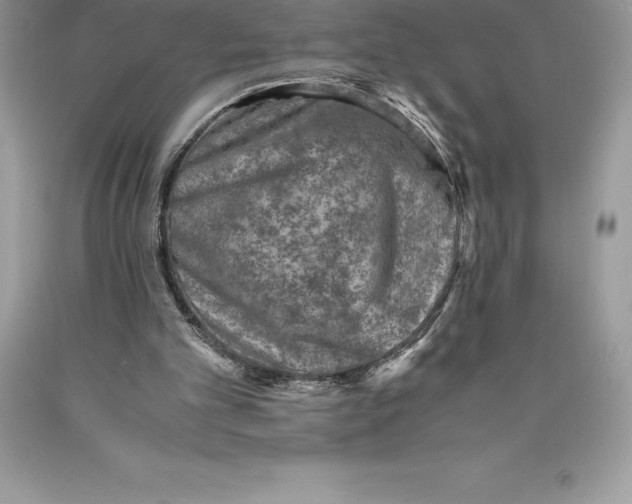 X0000089970101200707271930