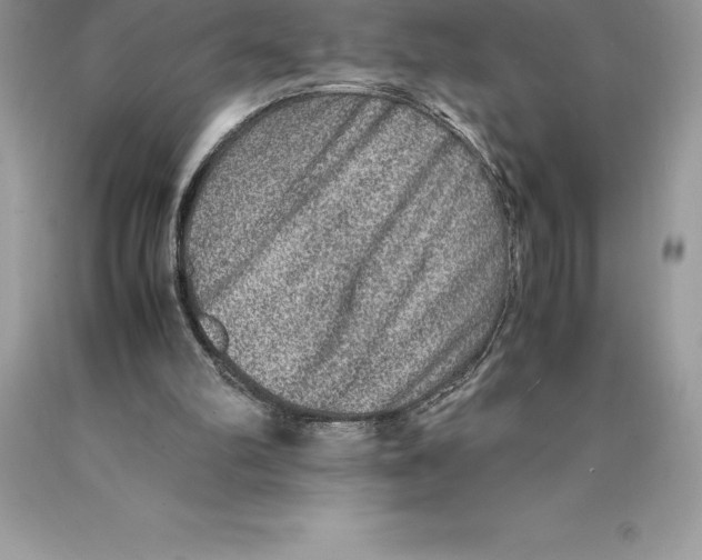 X0000089970102200707271930