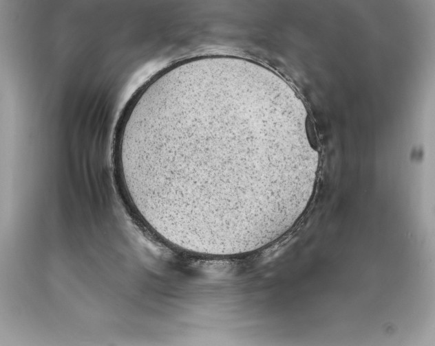 X0000089970104200707271930