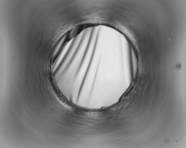 X0000089970105200707271930