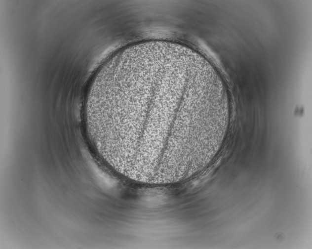 X0000089970106200707271930