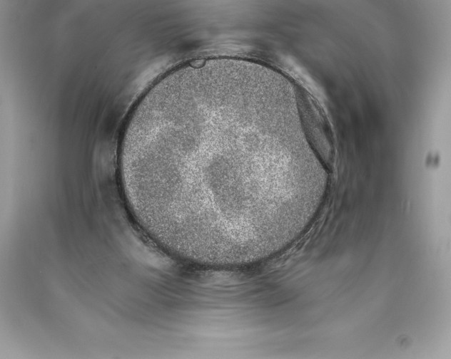 X0000089970107200707271930