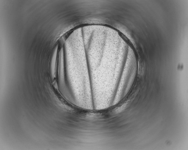 X0000089970109200707271929