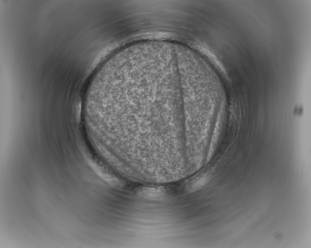 X0000089970110200707271929