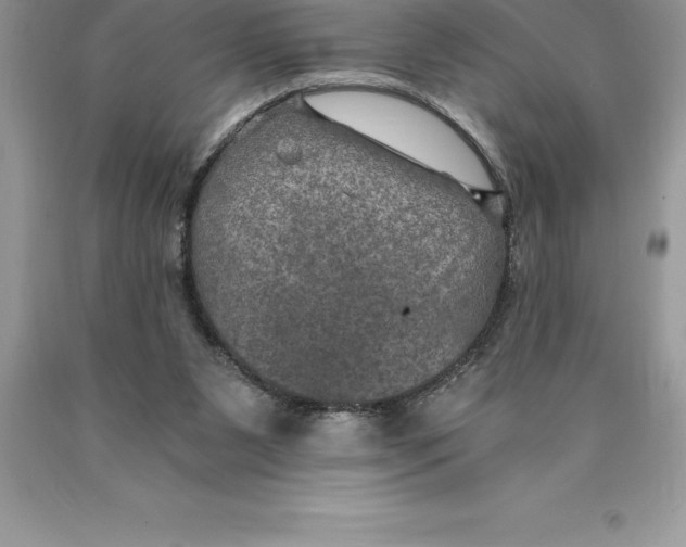 X0000089970111200707271929