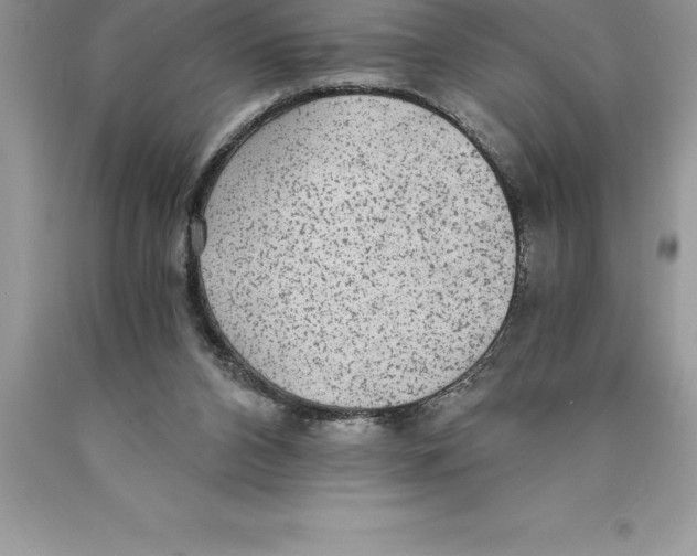 X0000089970112200707271929