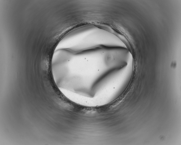 X0000089970113200707271929