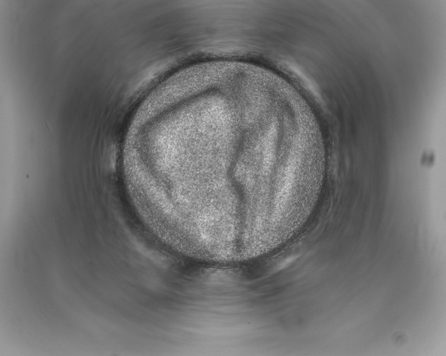 X0000089970115200707271929