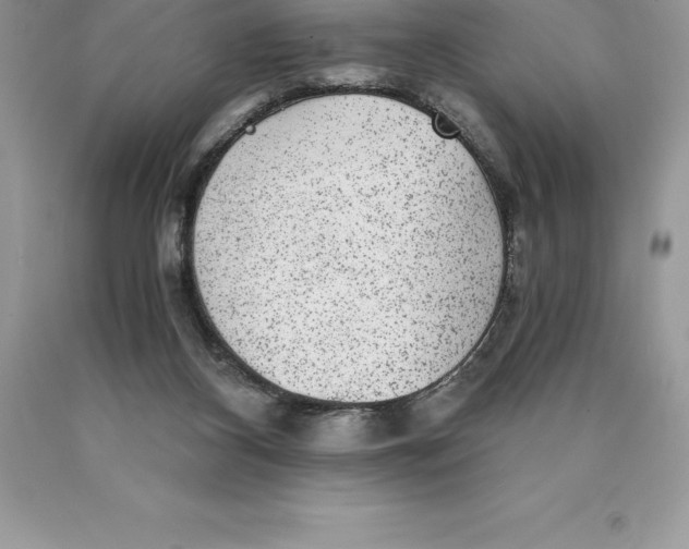 X0000089970116200707271929