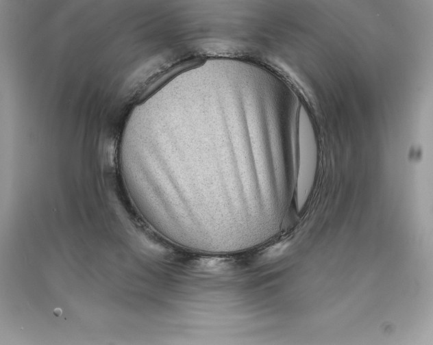 X0000089970117200707271929