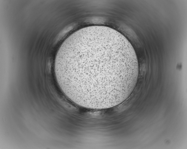 X0000089970120200707271929