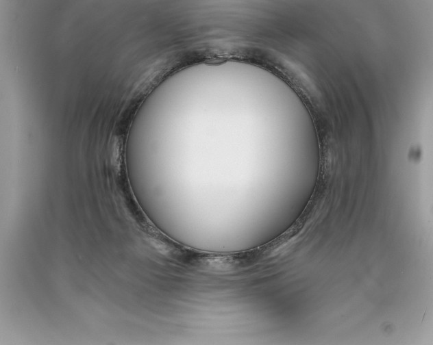 X0000089970121200707271929