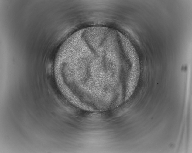 X0000089970123200707271929