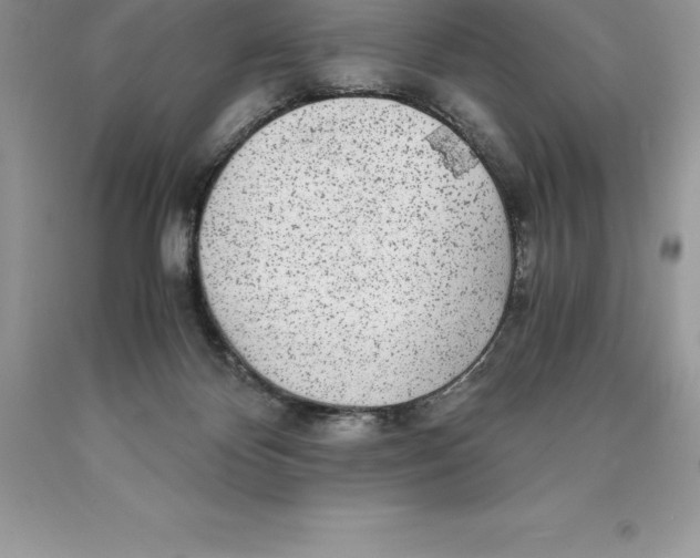 X0000089970124200707271929