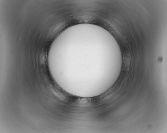 X0000089970126200707271929