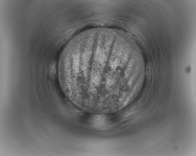 X0000089970127200707271929