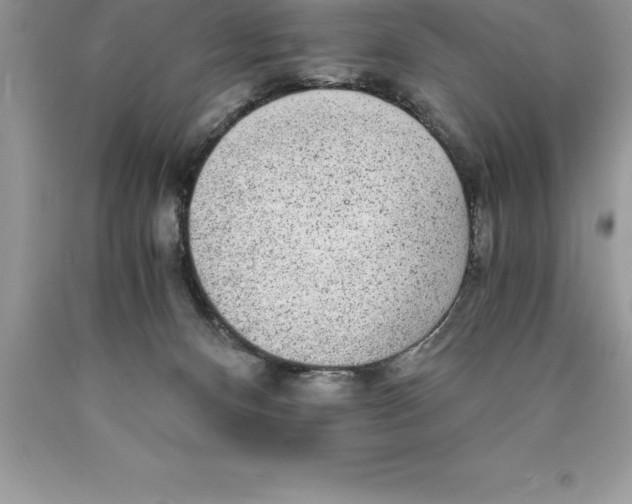 X0000089970128200707271929