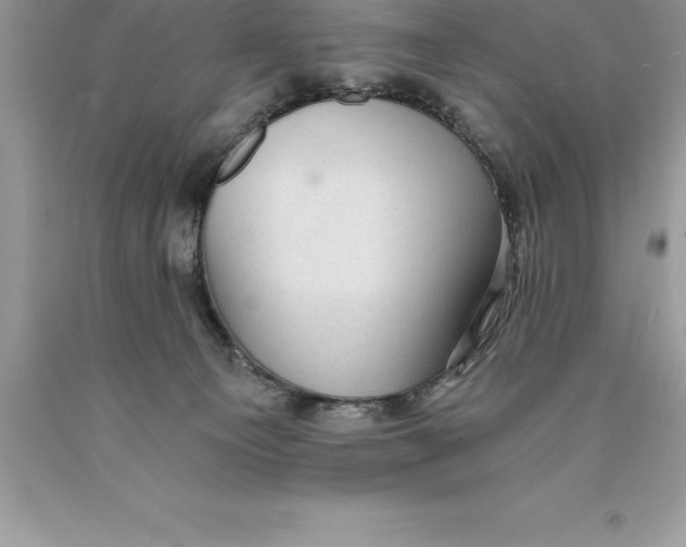 X0000089970129200707271929