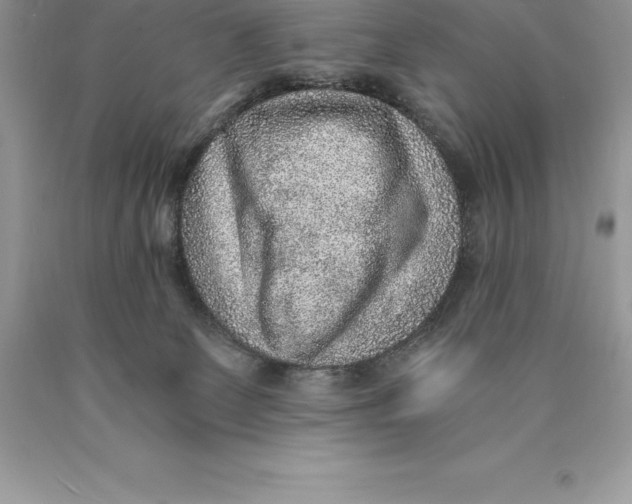 X0000089970131200707271929