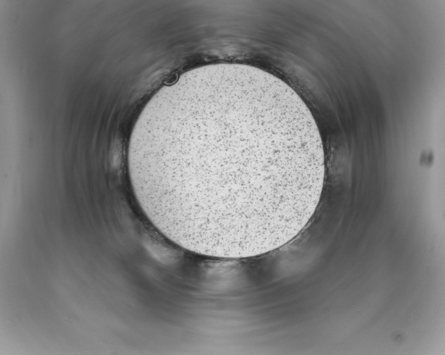 X0000089970132200707271929