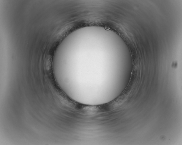 X0000089970133200707271929