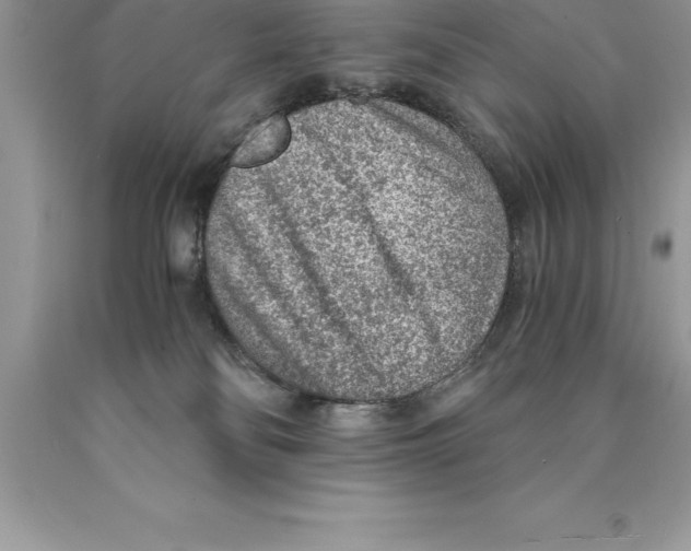 X0000089970134200707271929