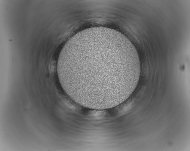 X0000089970135200707271929