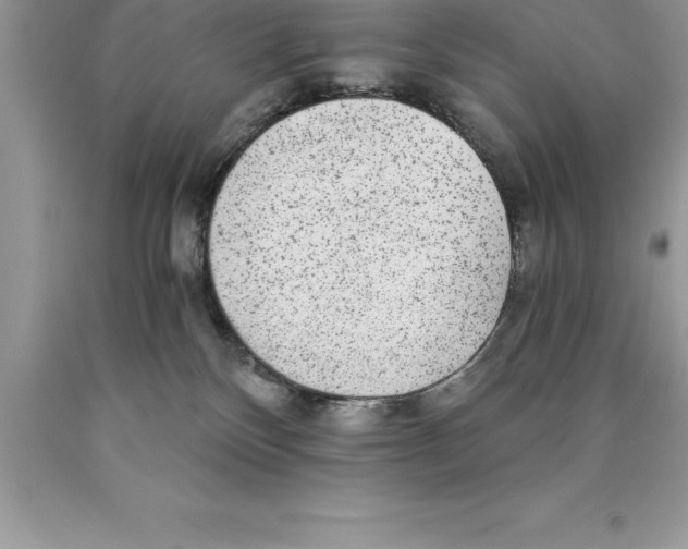 X0000089970136200707271929