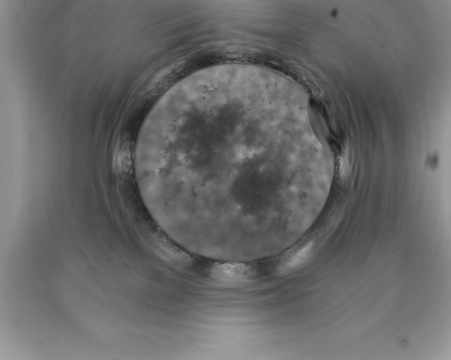 X0000089970137200707271929