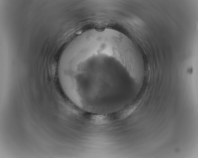 X0000089970139200707271929