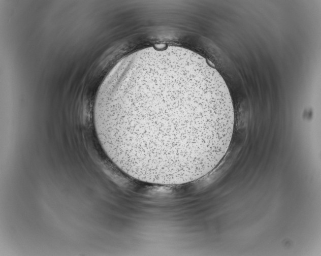 X0000089970140200707271929