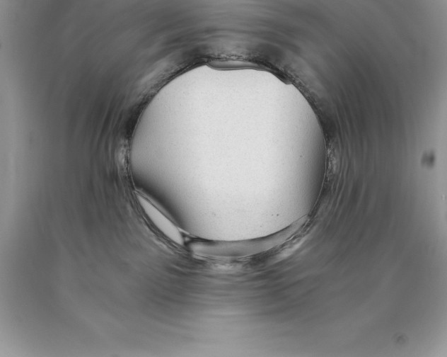 X0000089970141200707271929