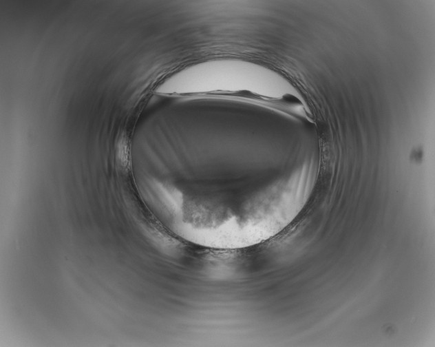 X0000089970143200707271929