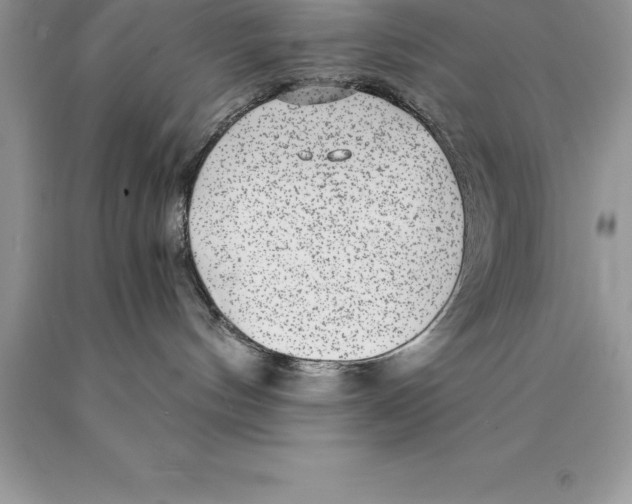 X0000089970144200707271929