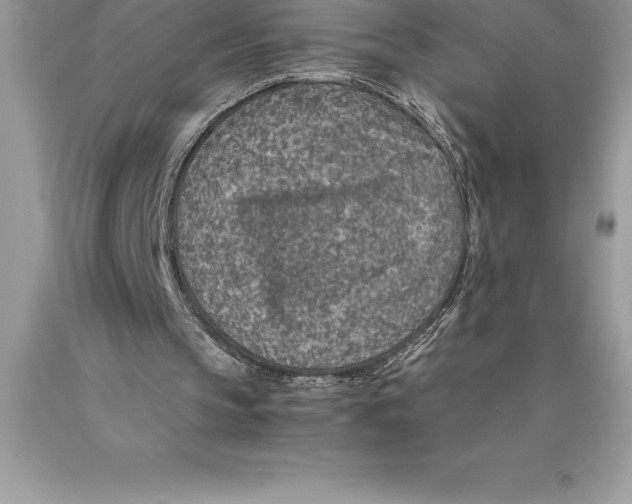 X0000089970145200707271928