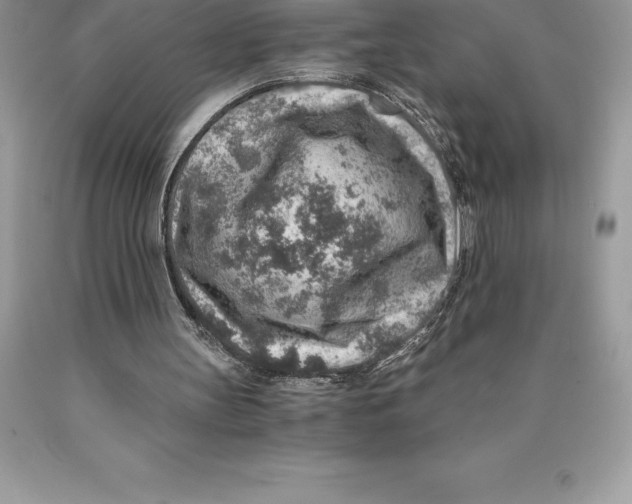 X0000089970147200707271928