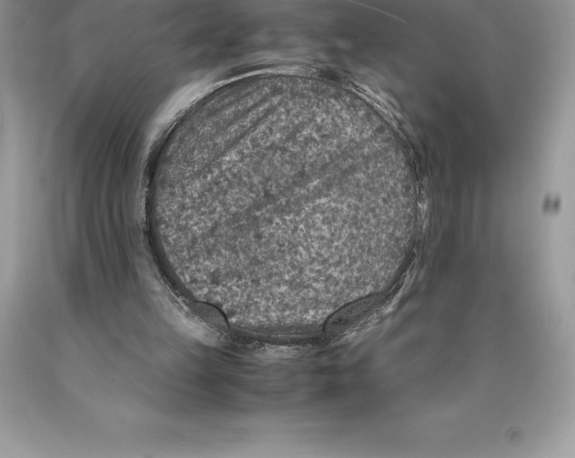 X0000089970149200707271928