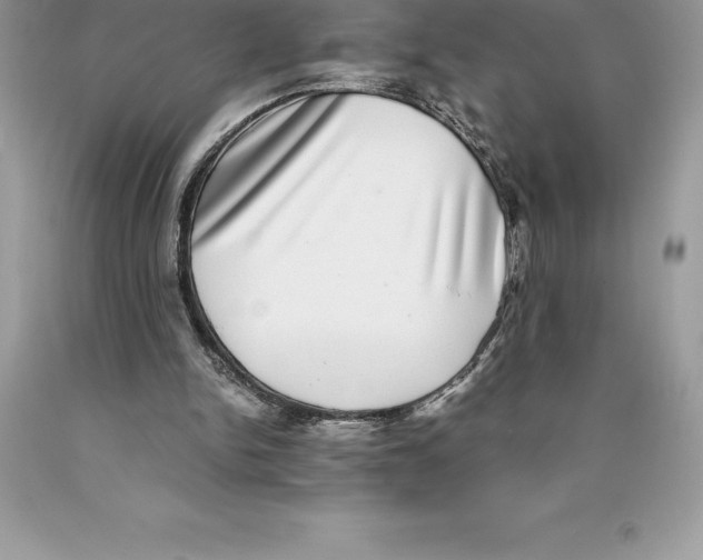 X0000089970150200707271928