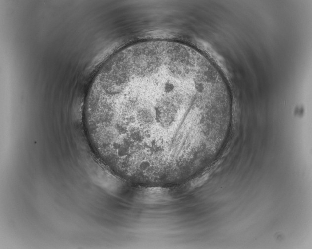 X0000089970153200707271928