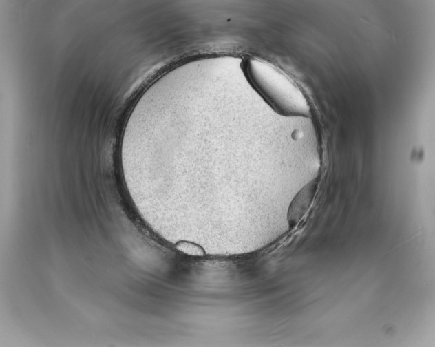 X0000089970154200707271928