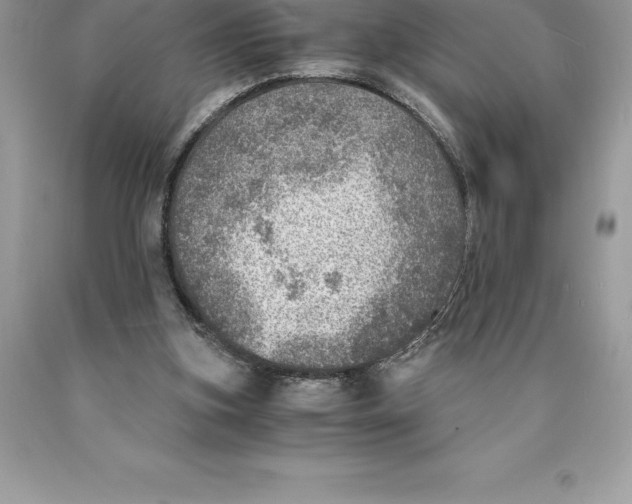 X0000089970155200707271928