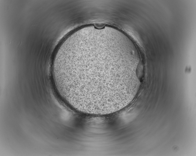 X0000089970156200707271928