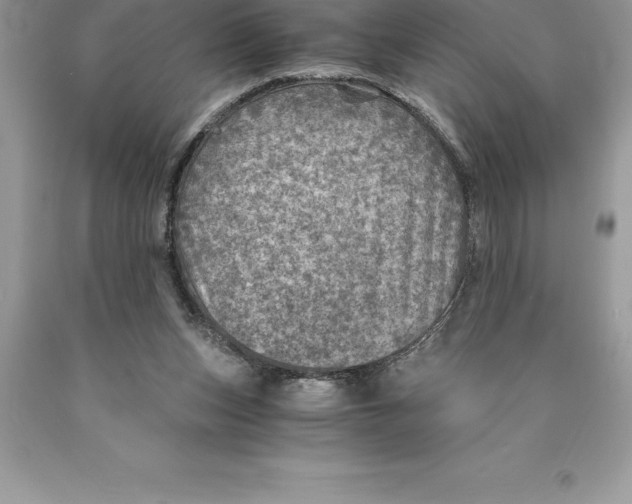 X0000089970159200707271928