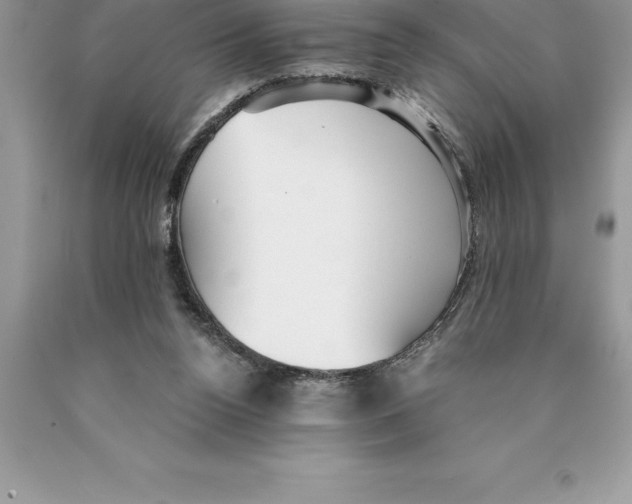 X0000089970160200707271928