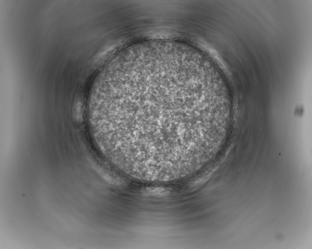 X0000089970161200707271928