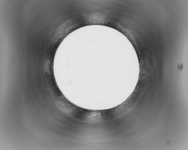 X0000089970162200707271928