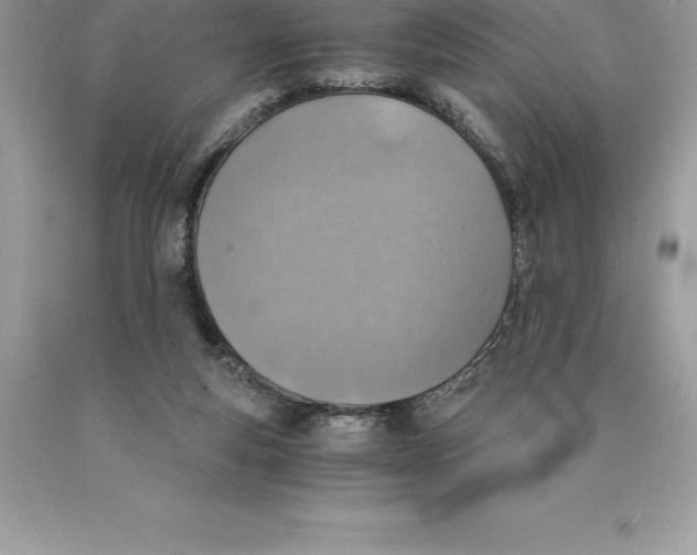 X0000089970163200707271928